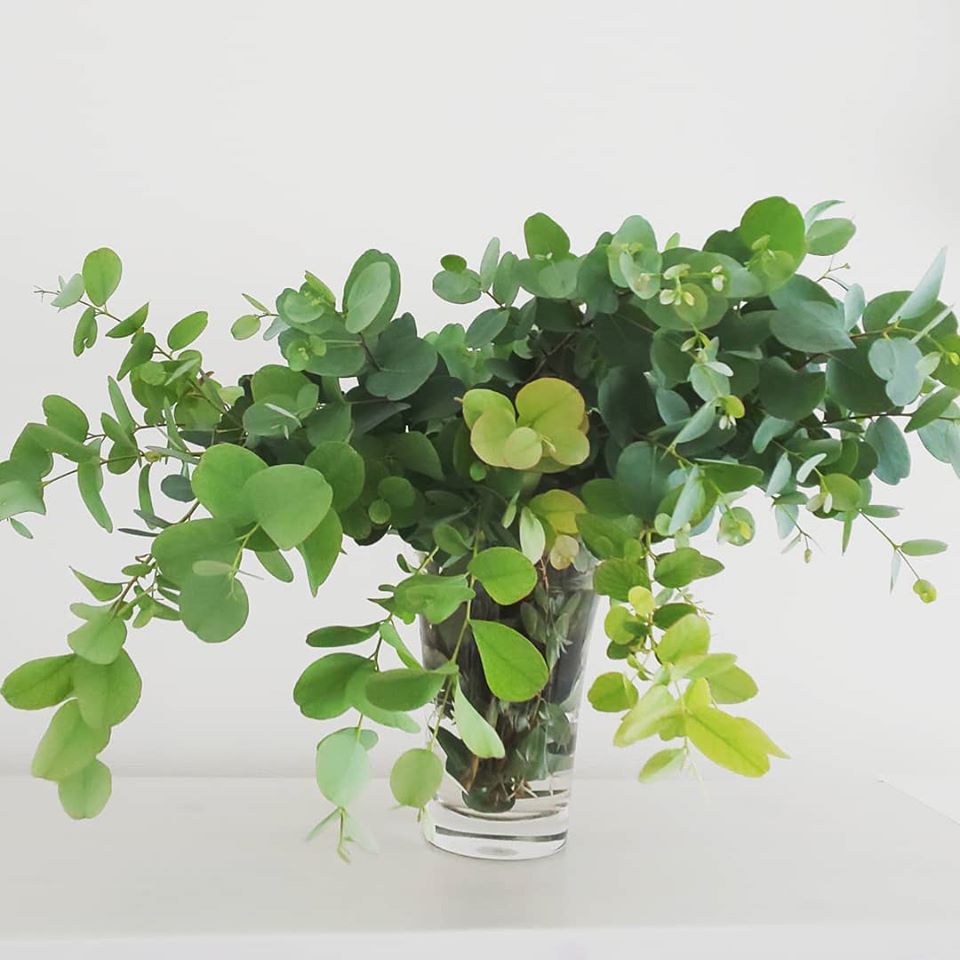 はやくも花粉の季節です